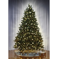 The World's Best Dual Light Balsam Fir - Slim - 6 1/2'